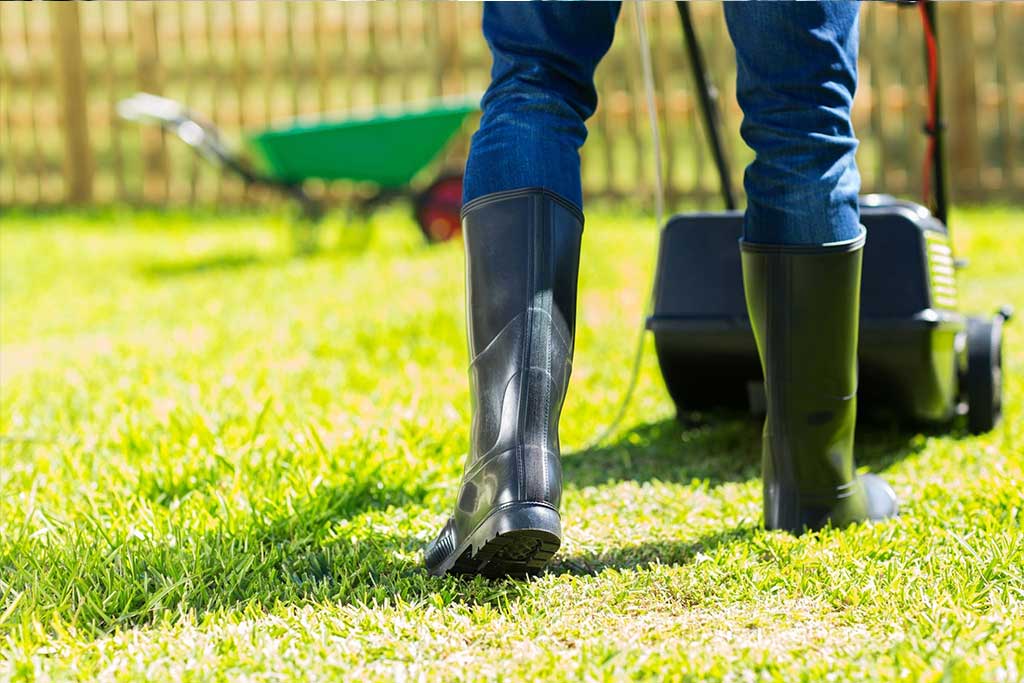 Lawn-and-Landscaping-companies-in-zimbabwe