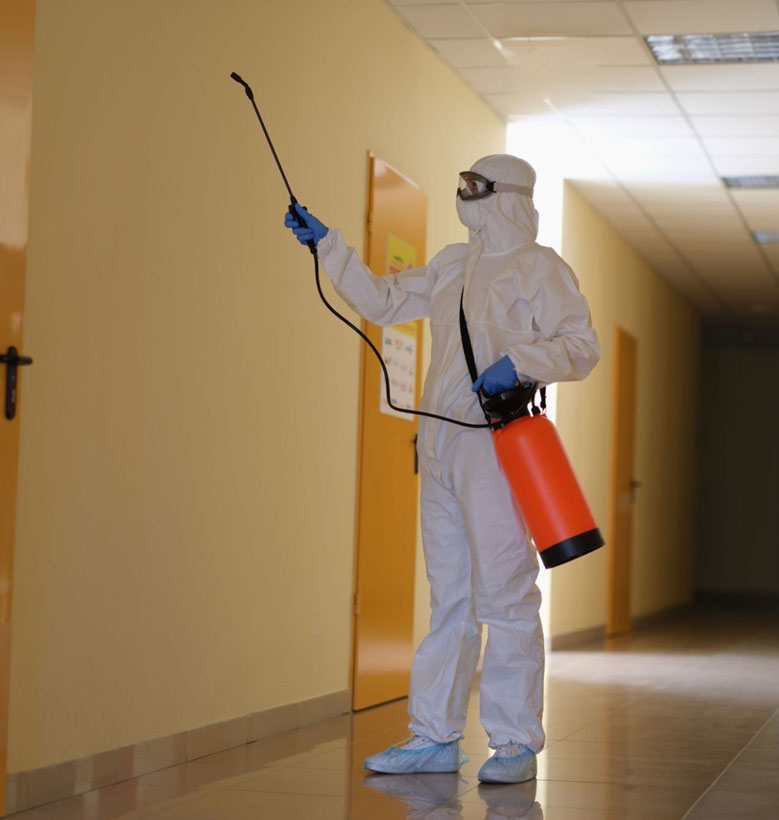 fumigation-companies-in-zimbabwe